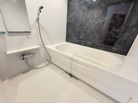 レディー  バード