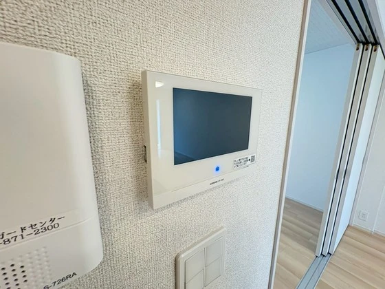 レディー  バード