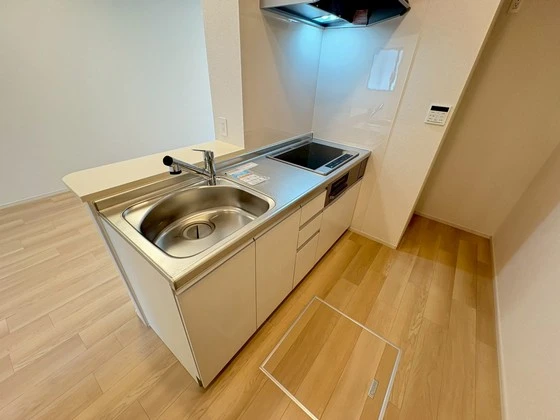 レディー  バード