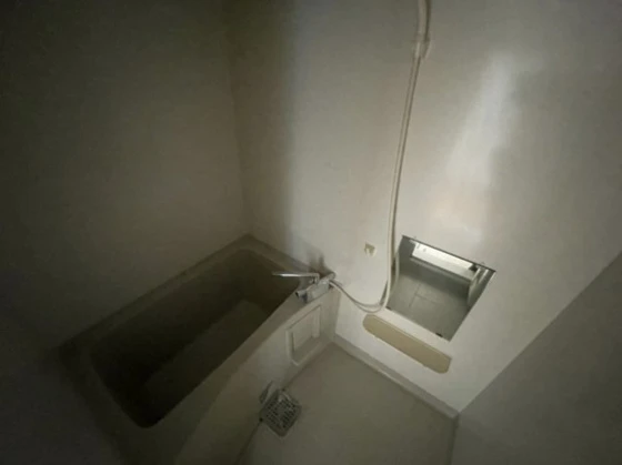 フォーシーズンズ冬