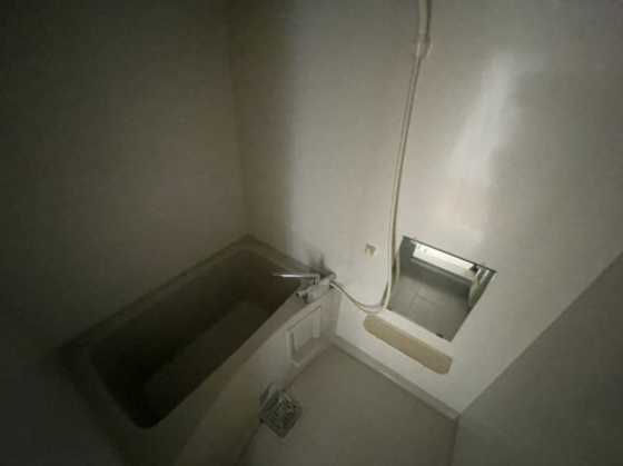 フォーシーズンズ冬