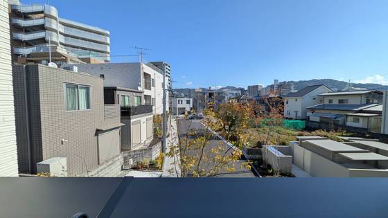 セレーナエルフォ