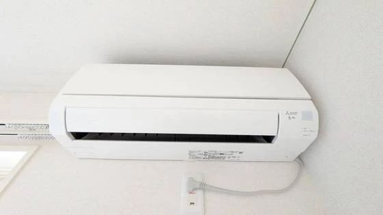 セレーナエルフォ