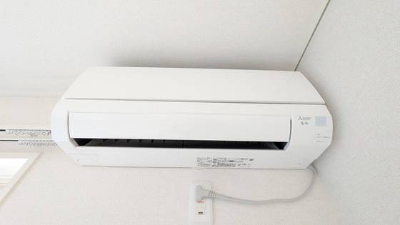 セレーナエルフォ