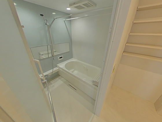 セレーナエルフォ