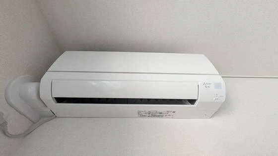 セレーナエルフォ