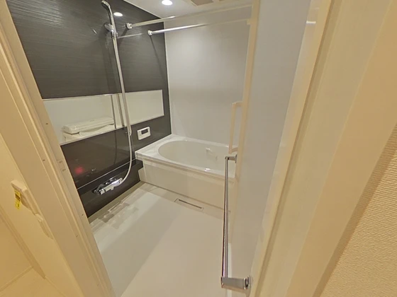 セレーナエルフォ