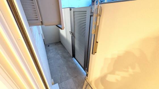 セレーナエルフォ