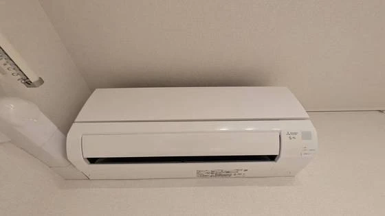 セレーナエルフォ