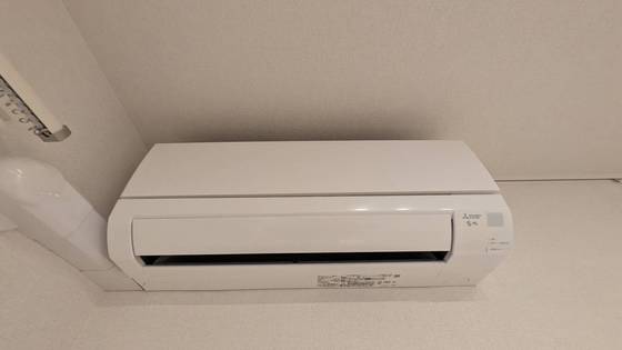 セレーナエルフォ