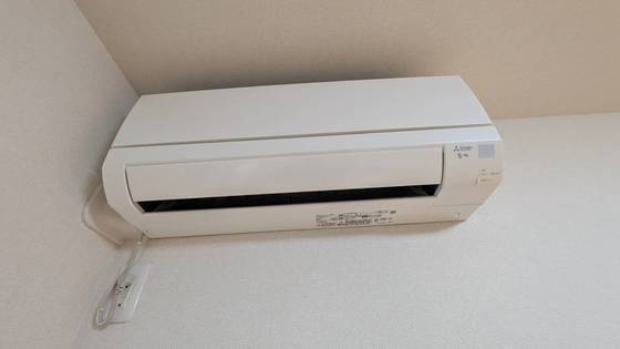 セレーナエルフォ