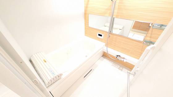 セレーナエルフォ