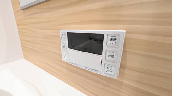 セレーナエルフォ