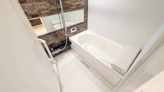 セレーナエルフォ