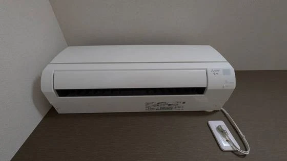 セレーナエルフォ