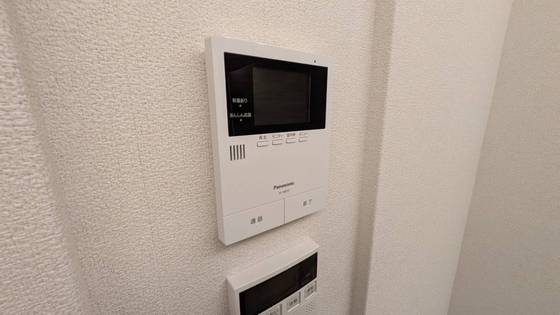 セレーナエルフォ