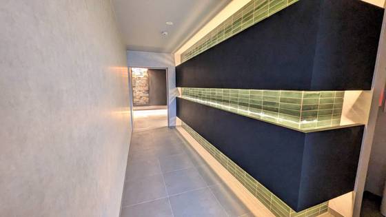 セレーナエルフォ