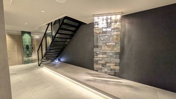 セレーナエルフォ