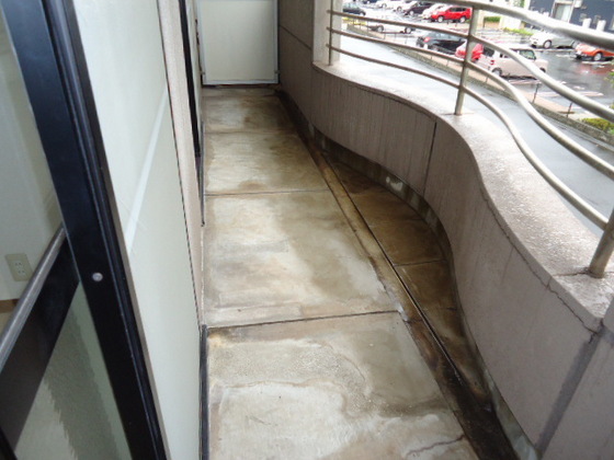 エランドールⅡ