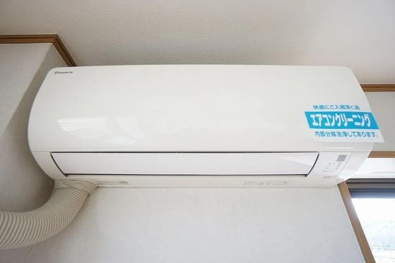 マスカット鳥羽