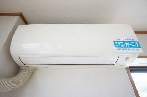 マスカット鳥羽