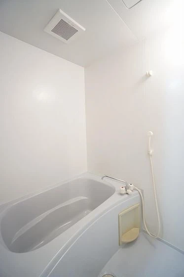 マスカット鳥羽