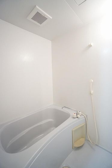 マスカット鳥羽