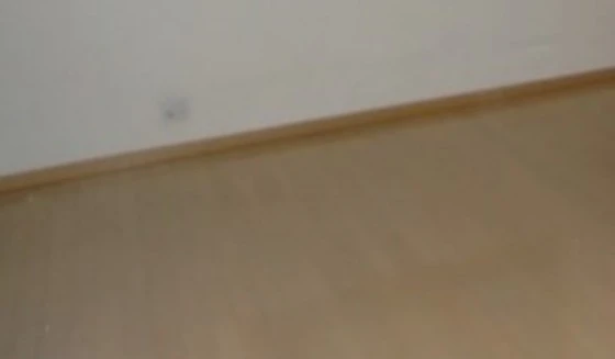 カーサフィオーレ野田