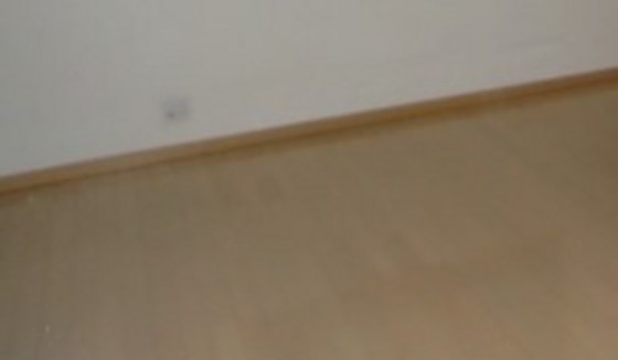 カーサフィオーレ野田