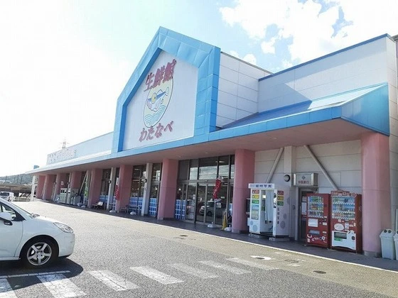 グリンピア古都A