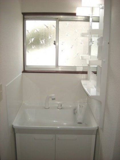 野崎様借家 西側