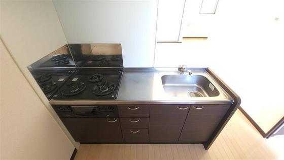 レオネクストパナメーラK