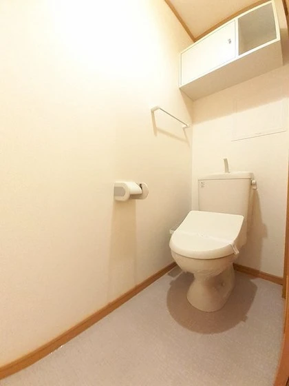 ビッグベアー A