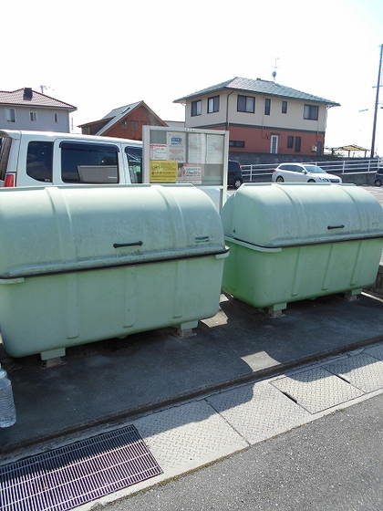 ビッグベアー D