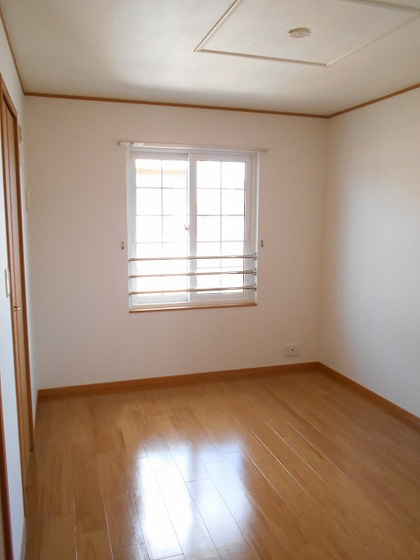 ビッグベアー D