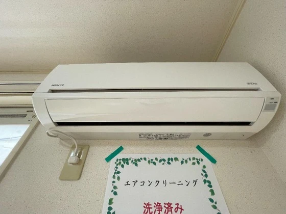 グリーンクラーク