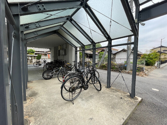 サンライズブルー