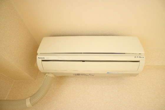 サンライズブルー