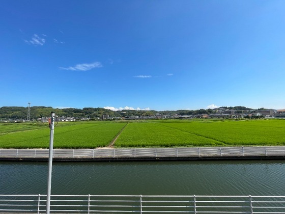 サンライズブルー