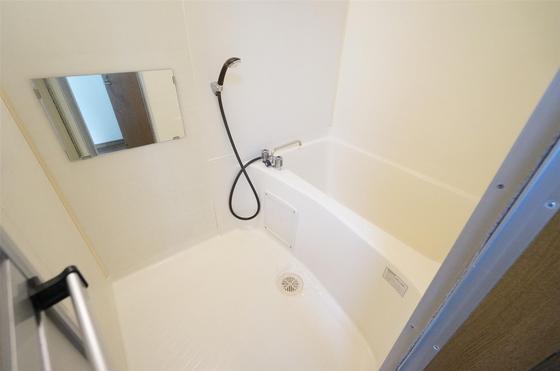 シャンポールII