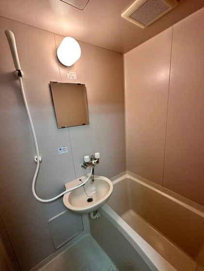 ヴィガーライフ雅Ⅱ