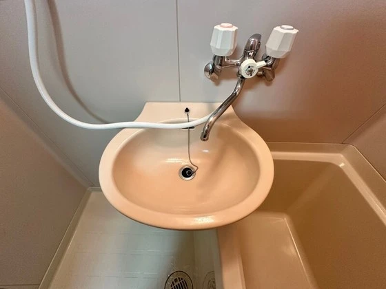 ヴィガーライフ雅Ⅱ