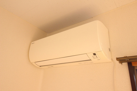 ティンカーベルB