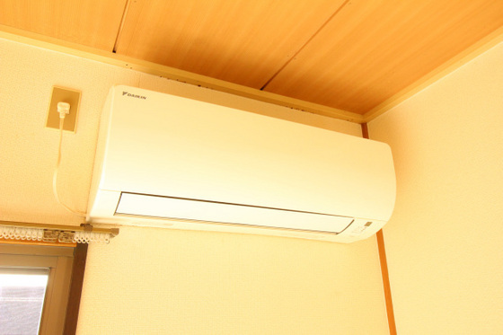 ティンカーベルB