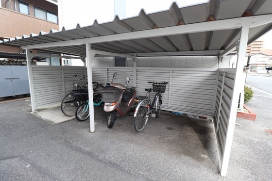 ティンカーベルB