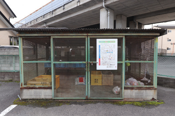 ティンカーベルB