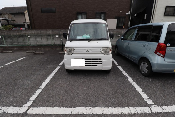 ティンカーベルB