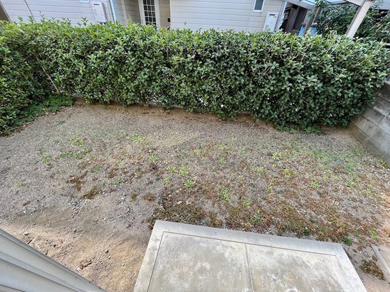 サニースクウェア津島B