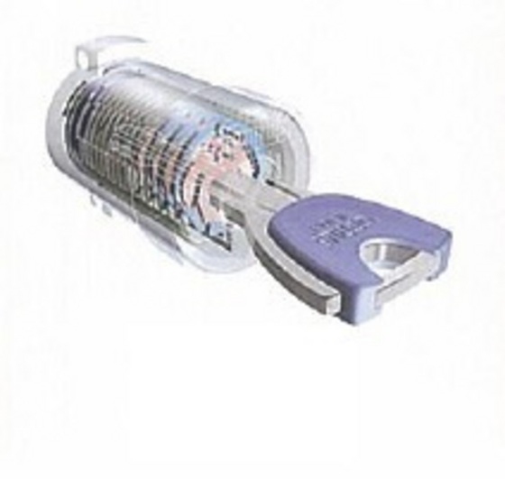 グレイスコートB