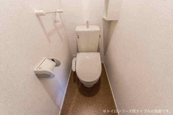 グレイスコートA